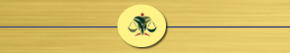 Areas of Practice
