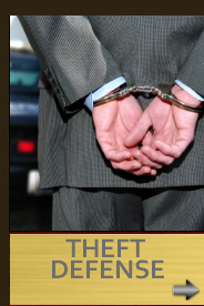 Theft Defense